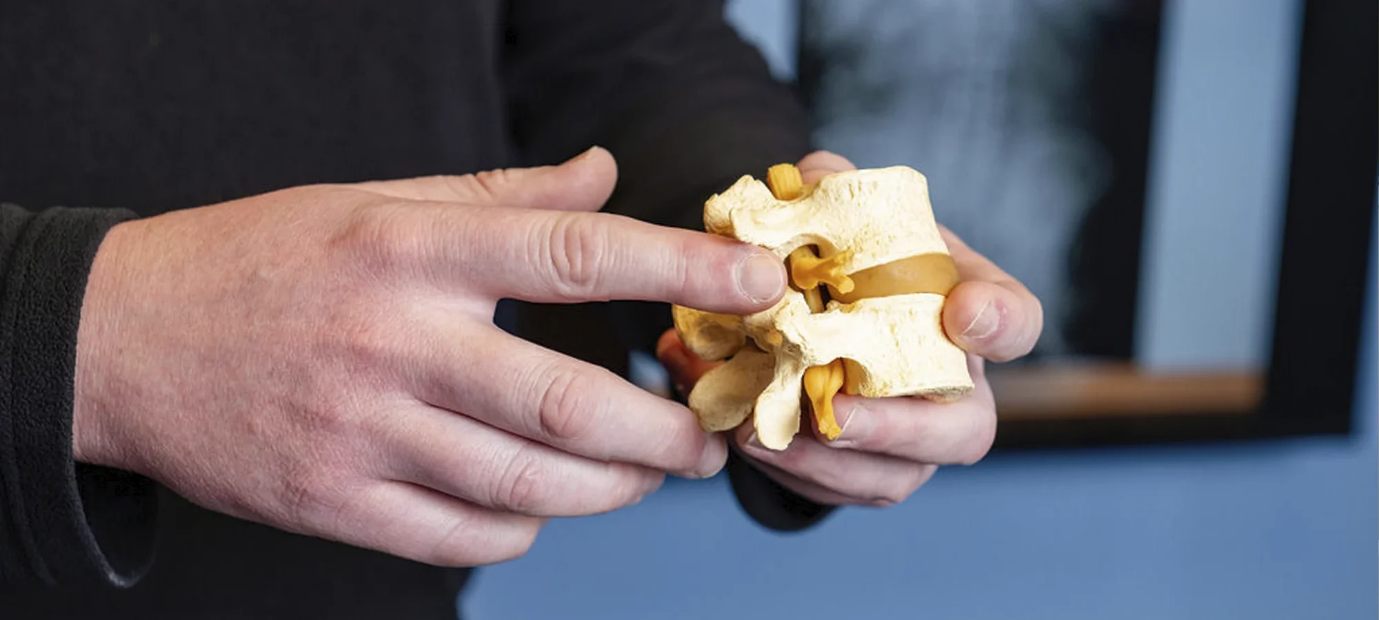 A lumbar spine disc model at Kentwood Family Chiropractic in Grand Rapids MI