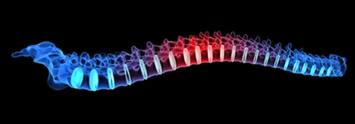 Spinal Manipulation & Adjustments in Grand Rapids MI Spinal Manipulation & Adjustments in Grand Rapids MI